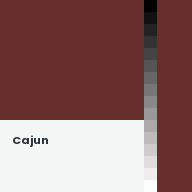 Color chip: Cajun