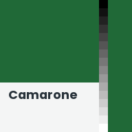 Color chip: Camarone