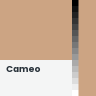 Color chip: Cameo