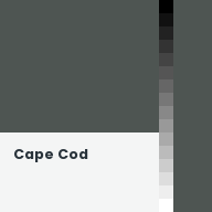 Color chip: Cape Cod