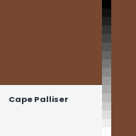Color chip: Cape Palliser