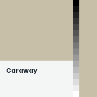 Color chip: Caraway