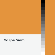 Color chip: Carpe Diem
