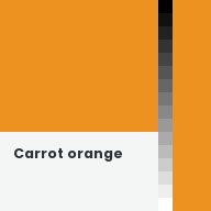 Color chip: Carrot orange