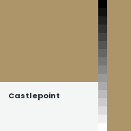 Color chip: Castlepoint