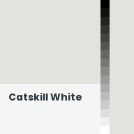Color chip: Catskill White