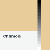 Color chip: Chamois