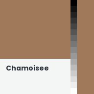 Color chip: Chamoisee