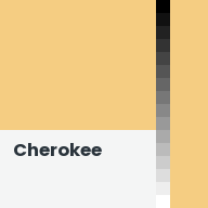 Color chip: Cherokee