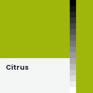 Color chip: Citrus