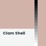 Color chip: Clam Shell