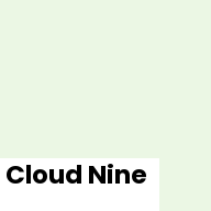 Color chip: Cloud Nine