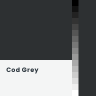 Color chip: Cod Grey