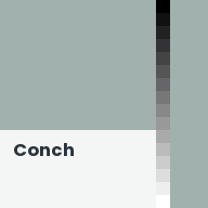 Color chip: Conch