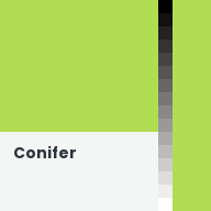 Color chip: Conifer