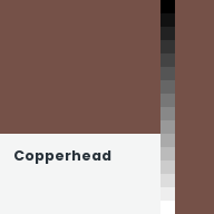 Color chip: Copperhead