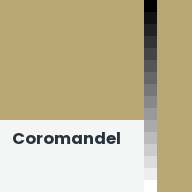 Color chip: Coromandel