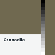 Color chip: Crocodile