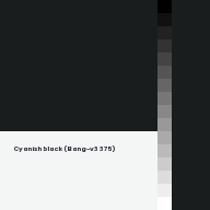 Color chip: Cyanish black (Bang-v3 375)