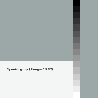 Color chip: Cyanish gray (Bang-v3 367)