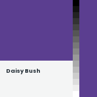 Color chip: Daisy Bush