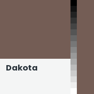 Color chip: Dakota