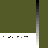 Color chip: Dark apple green (Bang-v3 161)