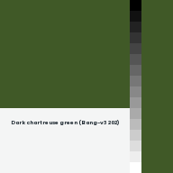 Color chip: Dark chartreuse green (Bang-v3 202)