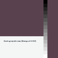 Color chip: Dark grayish rose (Bang-v3 653)