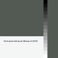 Color chip: Dark greenish gray (Bang-v3 258)