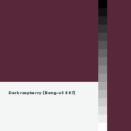 Color chip: Dark raspberry (Bang-v3 667)