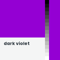 Color chip: Dark violet