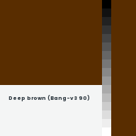 Color chip: Deep brown (Bang-v3 90)