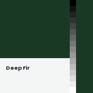 Color chip: Deep Fir