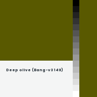 Color chip: Deep olive (Bang-v3 148)