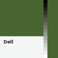Color chip: Dell