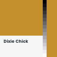 Color chip: Dixie Chick