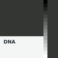 Color chip: DNA