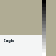 Color chip: Eagle