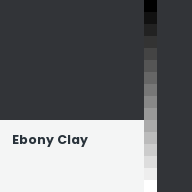 Color chip: Ebony Clay