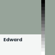 Color chip: Edward