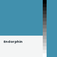Color chip: Endorphin