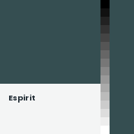 Color chip: Espirit