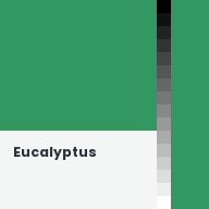 Color chip: Eucalyptus
