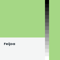 Color chip: Feijoa