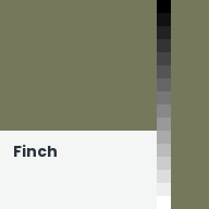 Color chip: Finch