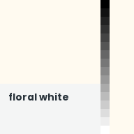 Color chip: floral white