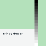 Color chip: Fringy Flower