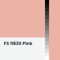Color chip: FS 11630 Pink