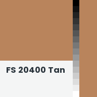Color chip: FS 20400 Tan